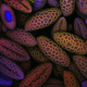 Imagen para el artículo titulado Las fotos ganadoras del concurso de microfotografía Nikon Small World te harán dudar de la realidad
